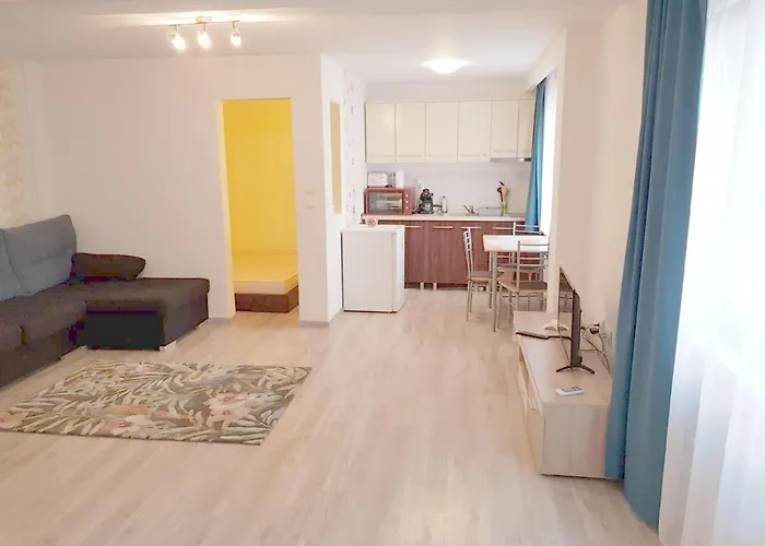 Apartament 1 Central